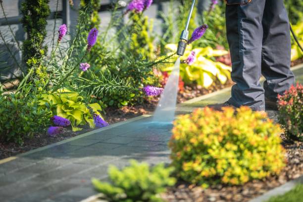 Animal Enclosure Cleaning in Bloomsburg, PA